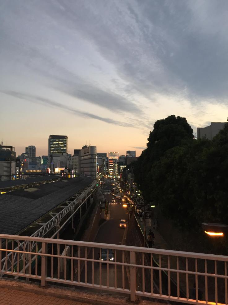 44279925_1246591602155007_3246809213497769984_n