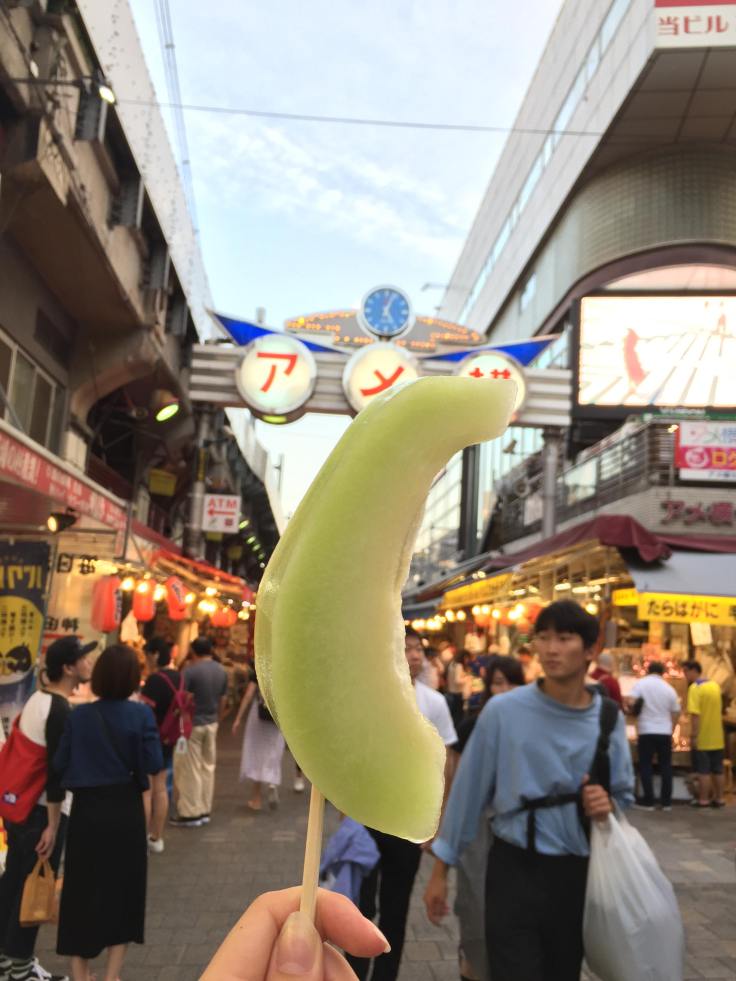 44348353_498998790581345_9030732364103286784_n